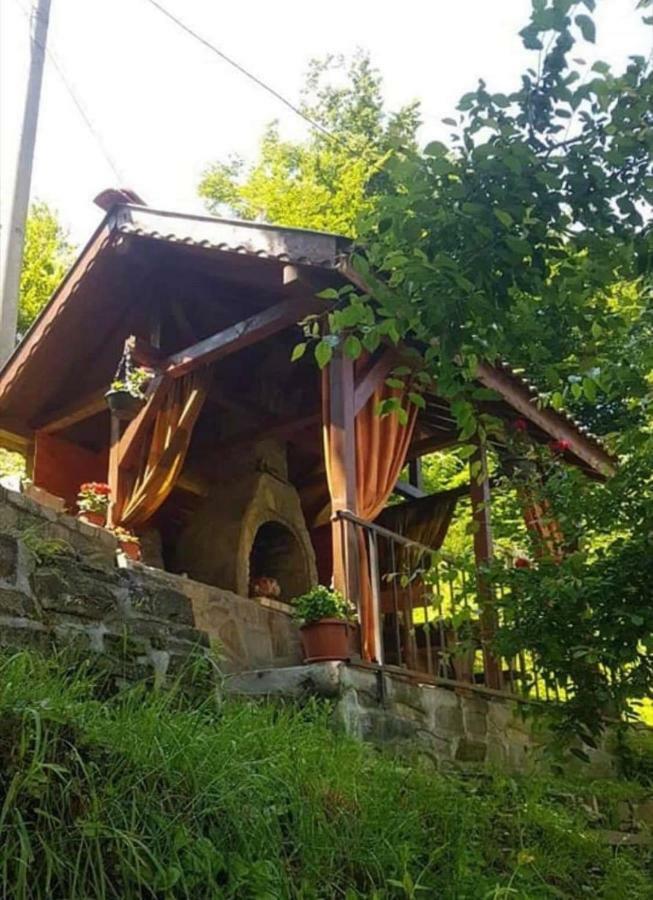 Вила Керенски リバリツァ エクステリア 写真